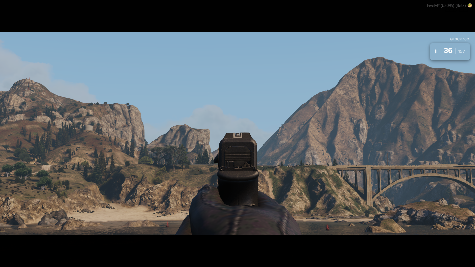 Full Ammo Display